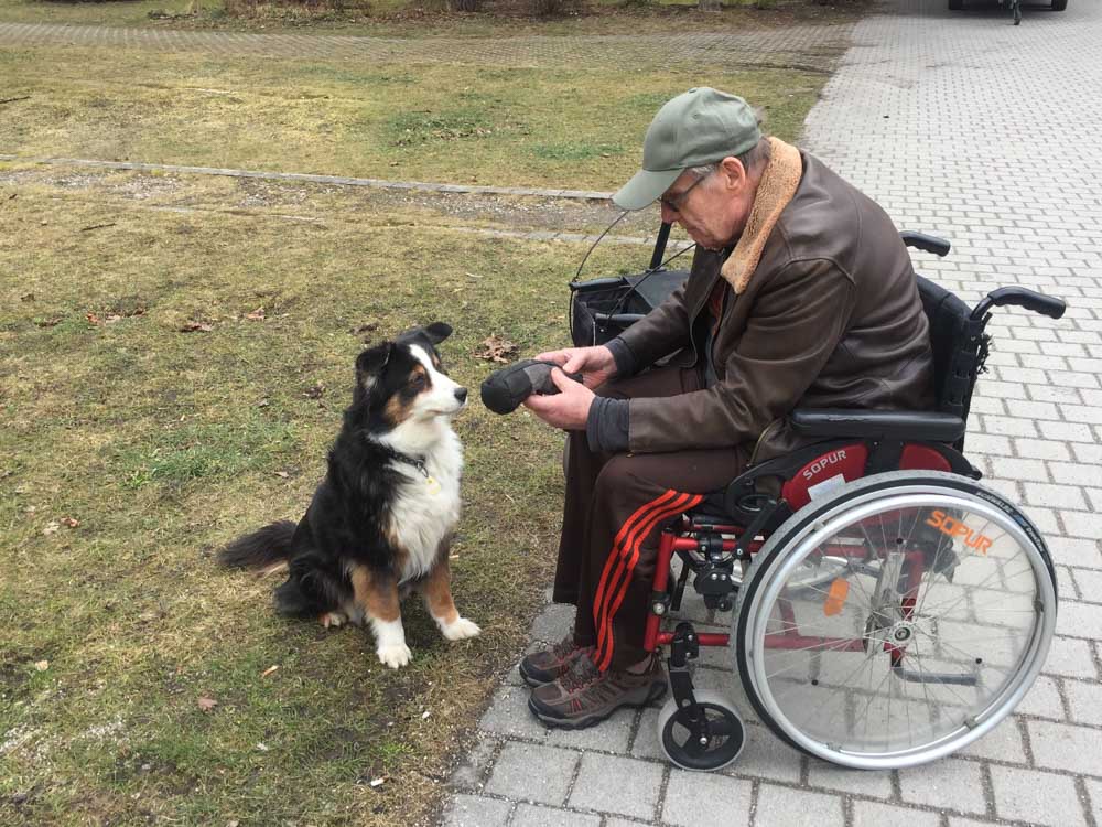 Therapiehund Kiki + Patient